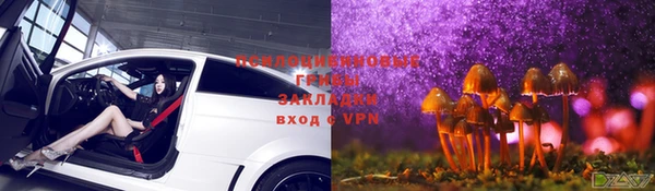 кокаин Богданович