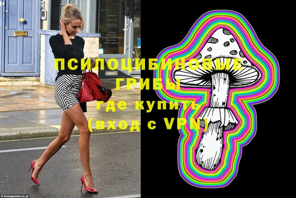 mdma Богородицк
