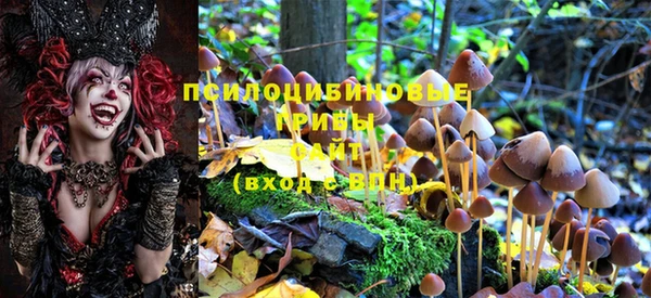 кокаин Богданович