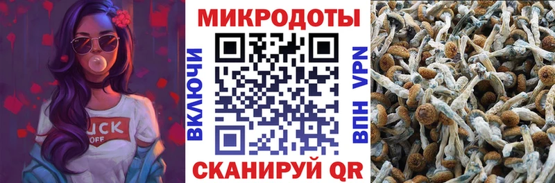 Галлюциногенные грибы мицелий  Купить закладки  Луза 